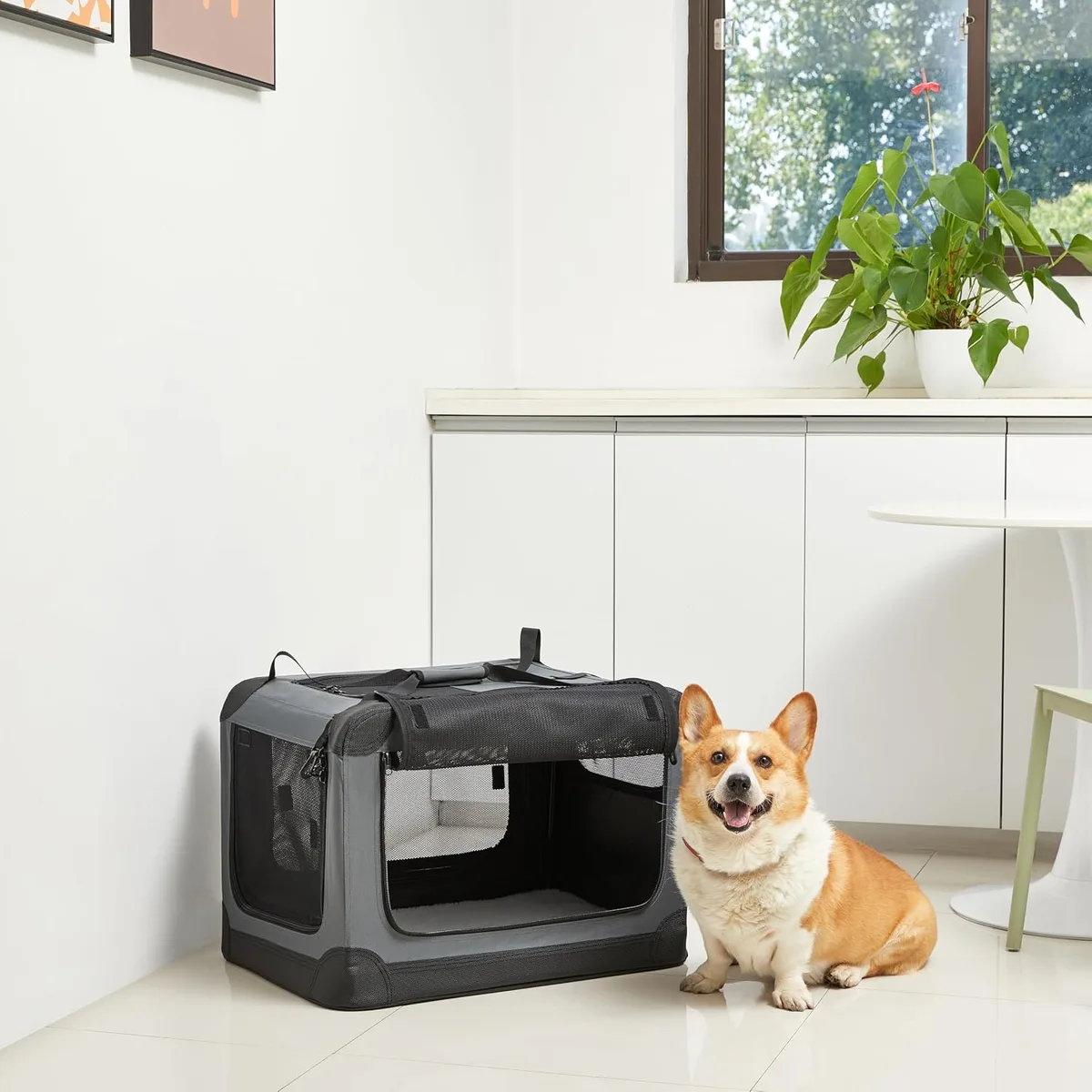 Amazon Basics Transportín Portátil Plegable de 4 Puertas para Perros y Gatos, Gris, S 66 x 46 x 46 cm foto 6