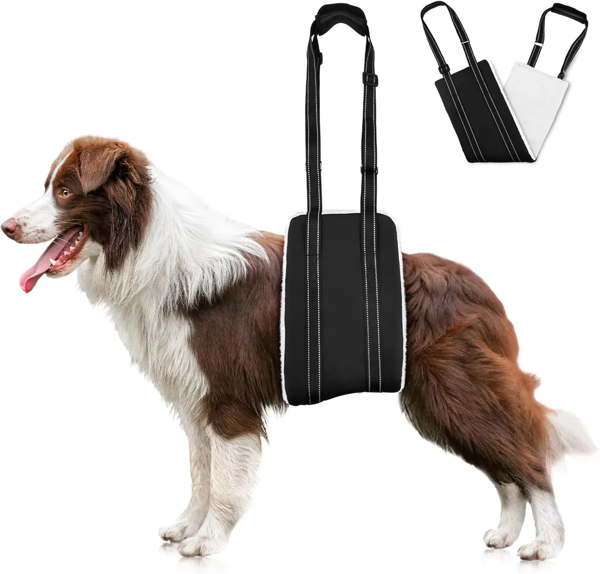 AOOHA Arnés para Perro Discapacitado, Arnes Perro Patas Traseras, Arnés Ajustable para Elevación, Apoyo, Esponjoso y Cómodo, para Apoyar a Perros Mayores, Heridos y Discapacitados