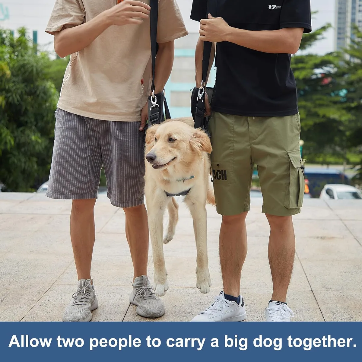 Coodeo Eslinga de Transporte para Perros, Mochila de Emergencia, Soporte para Las Piernas de Las Mascotas Y Arnés de Elevación para Perros de Rehabilitación para Cortar Las Uñas foto 4
