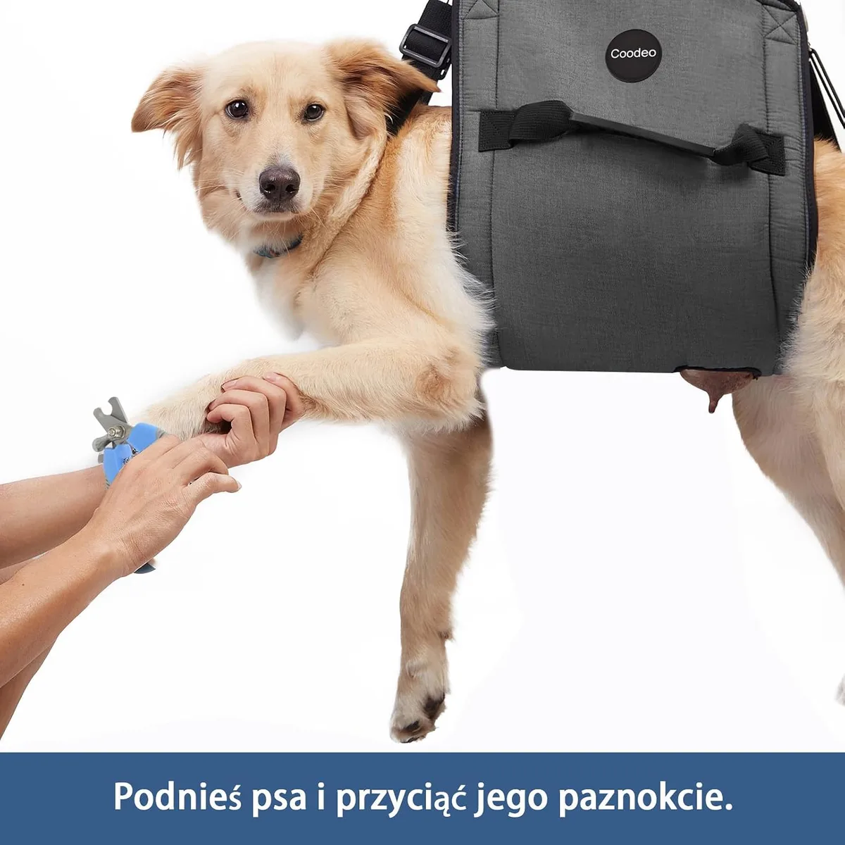 Coodeo Eslinga de Transporte para Perros, Mochila de Emergencia, Soporte para Las Piernas de Las Mascotas Y Arnés de Elevación para Perros de Rehabilitación para Cortar Las Uñas foto 5
