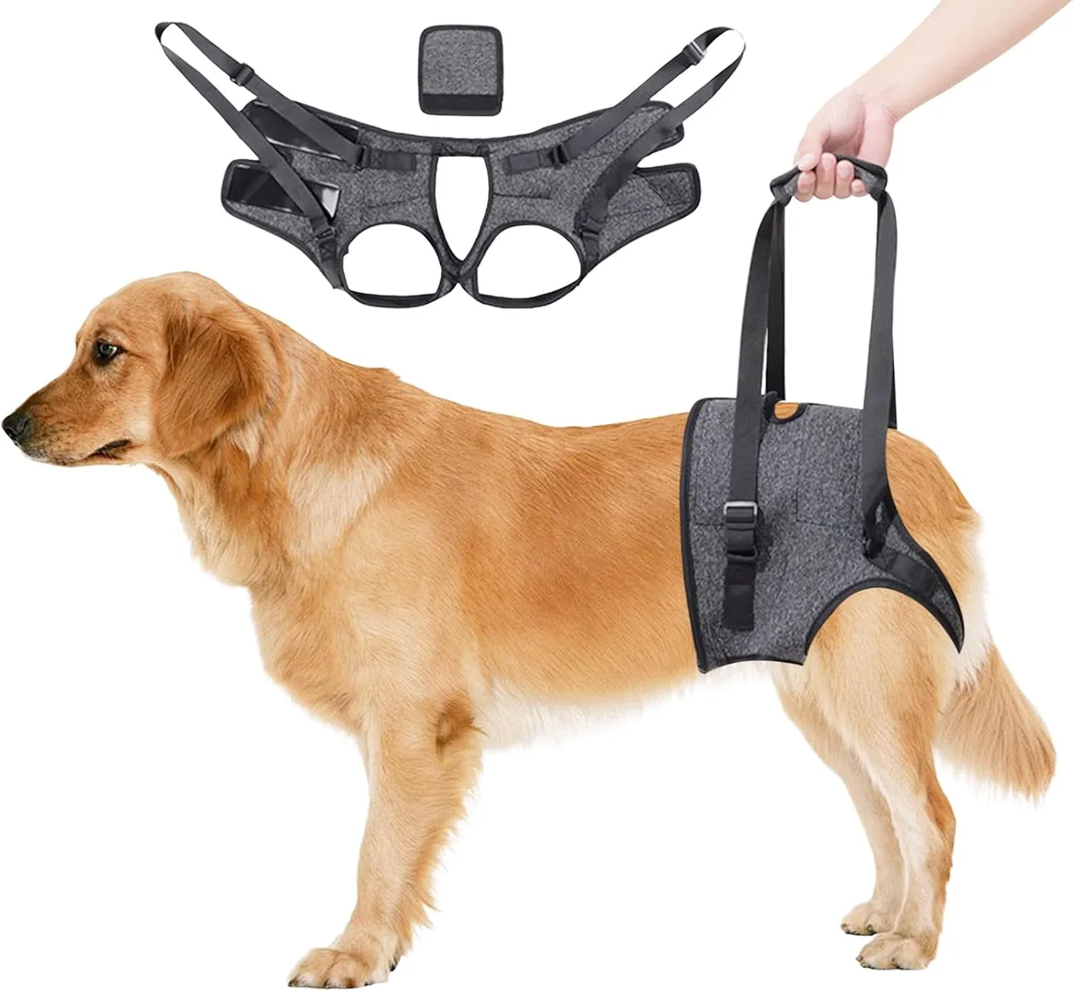 Dokeno Arnés de Elevación para Perros - Arnes Ayuda Perro, Arnes de Transporte para Perros, Suave, Ajustable para apoyar a Perros Mayores, Heridos y Discapacitados (Gris)