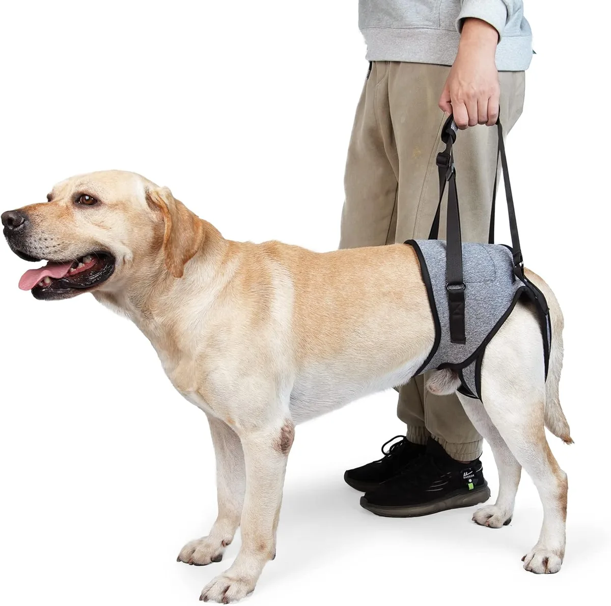 Dotoner Arnés de Levantamiento de Perros, arnés de Apoyo para Patas traseras, Correa de Apoyo Suave para Perros lesionados discapacitados, pequeños, medianos y Grandes