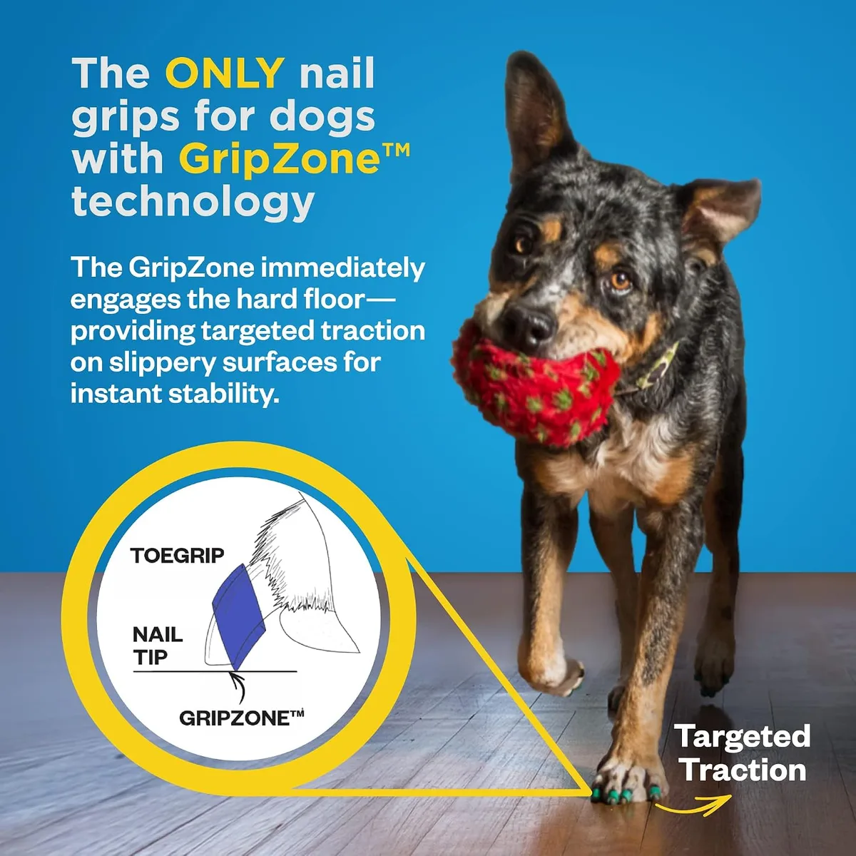 Dr. Buzby's ToeGrips - Agarres para Uñas de Perro, Tracción Instantánea en Suelos de Madera/Madera Dura, Alivio Antideslizante para Perros Mayores, Talla M foto 4