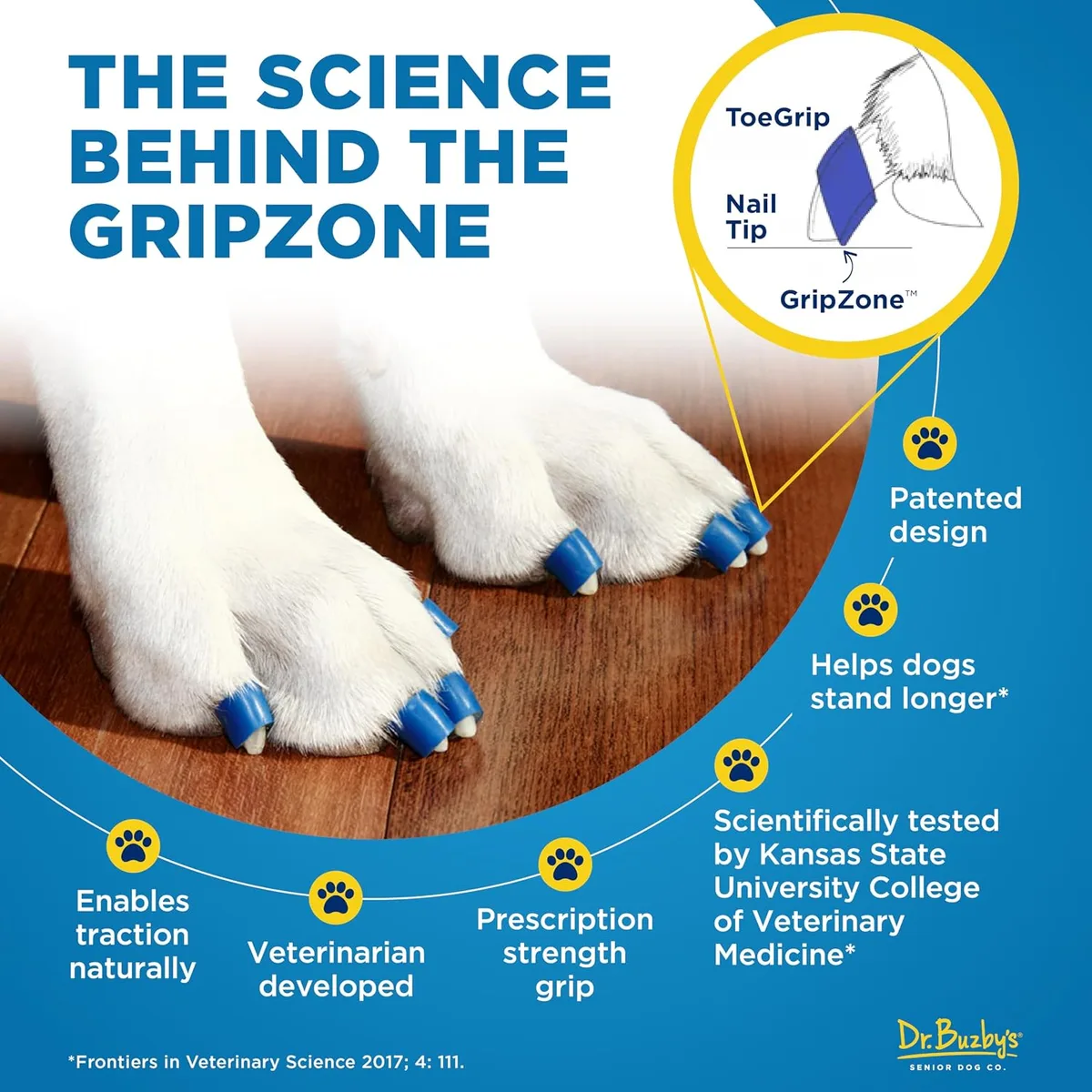 Dr. Buzby's ToeGrips - Agarres para Uñas de Perro, Tracción Instantánea en Suelos de Madera/Madera Dura, Alivio Antideslizante para Perros Mayores, Talla M foto 6