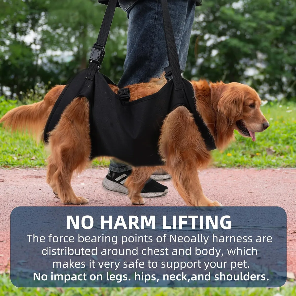 Duuclume Arnés de Elevación para Perros, Mochila de Emergencia Portador de Cabestrillo para Soporte de Patas de Mascotas y Rehabilitación, Correas de Elevación Ajustables foto 5