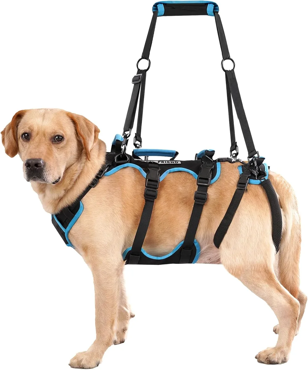 Lafoty Arnés de Levantamiento para Perros Machos Grandes – Arnés 2 en 1 de Ayuda para Levantar, Apoyo para Las Patas Traseras y Asistencia en Movilidad para Perros Mayores (Negro, Grande)