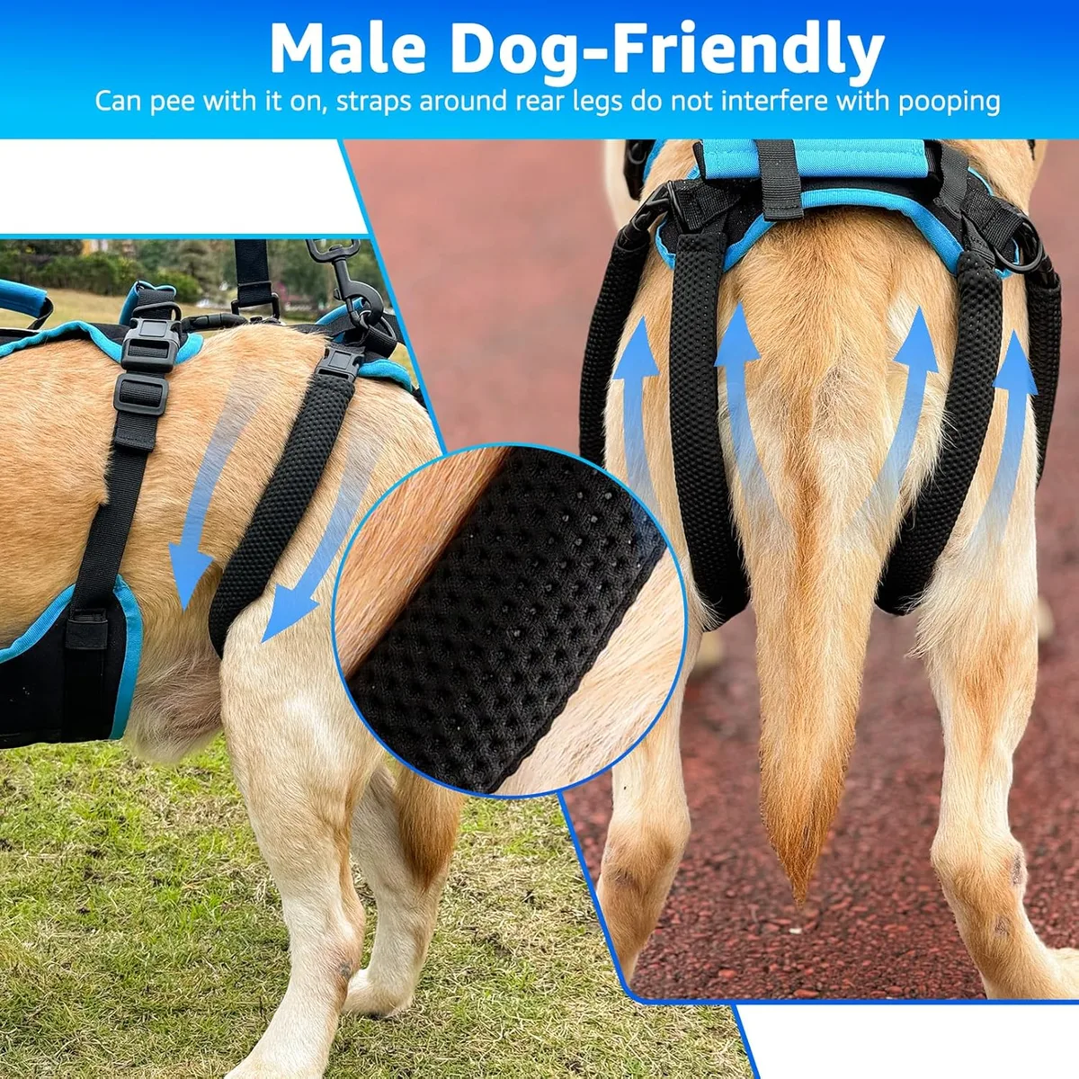 Lafoty Arnés de Levantamiento para Perros Machos Grandes – Arnés 2 en 1 de Ayuda para Levantar, Apoyo para Las Patas Traseras y Asistencia en Movilidad para Perros Mayores (Negro, Grande) foto 3
