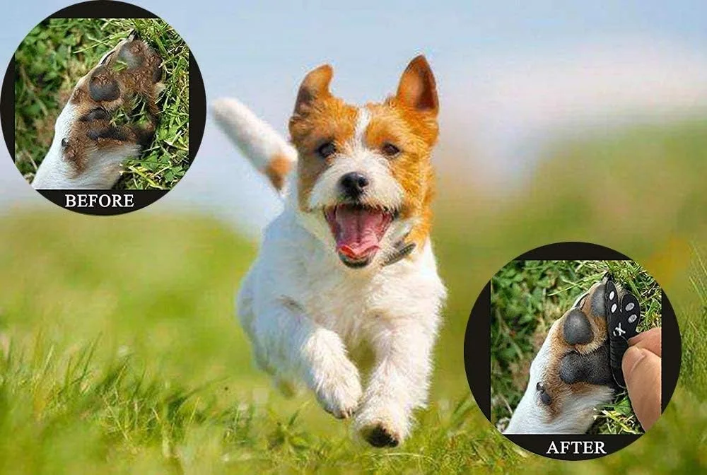 VALFRID Protector de Patas para Perro, Antideslizante en Suelos de Madera, Autoadhesivo, Control de tracción, Almohadillas de Repuesto, 24 Piezas XXL foto 6